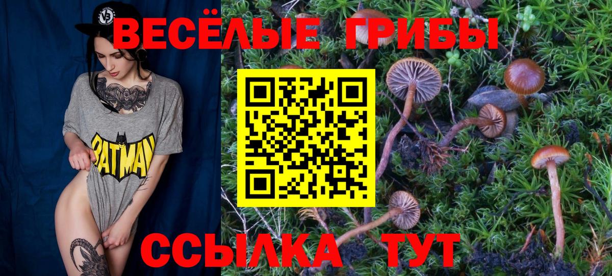 Псилоцибиновые грибы Psilocybine cubensis Десногорск